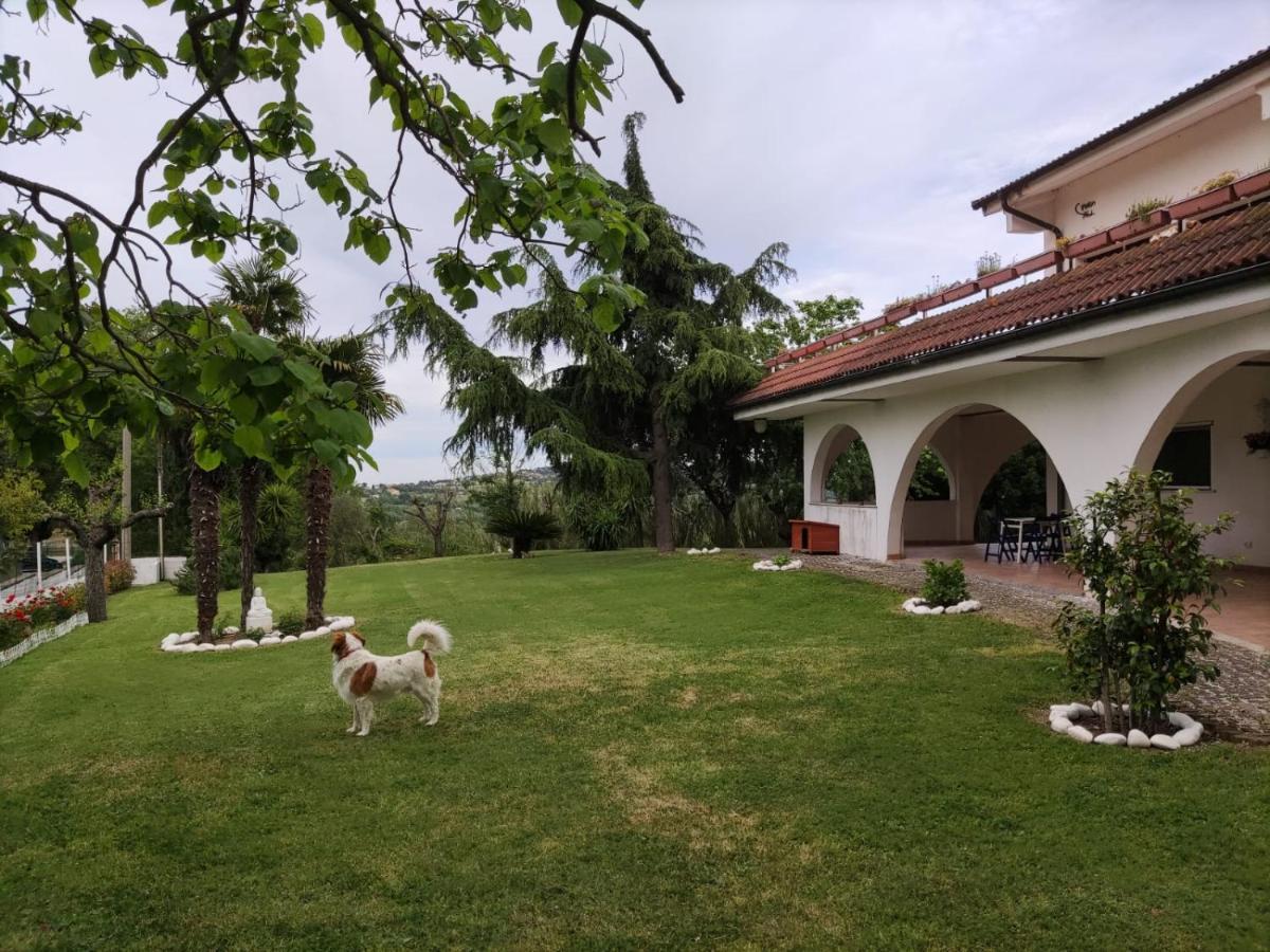 Bed and Breakfast "Cara Pace" In Collina Per Famiglie Montefiore Conca Экстерьер фото