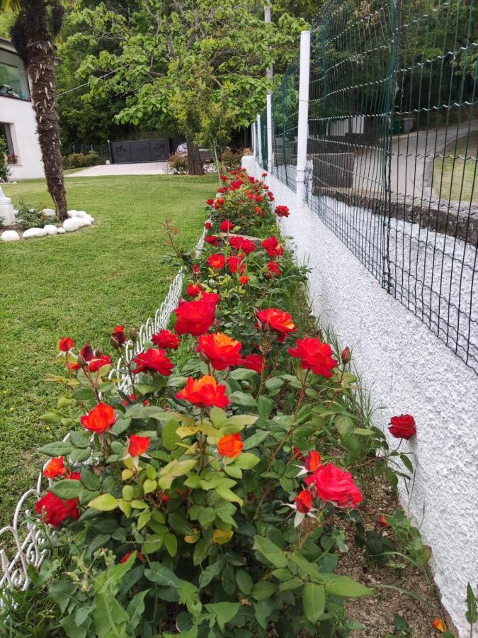 Bed and Breakfast "Cara Pace" In Collina Per Famiglie Montefiore Conca Экстерьер фото