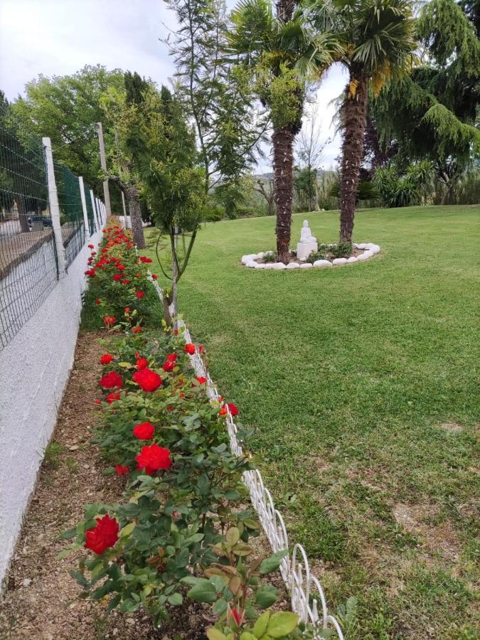 Bed and Breakfast "Cara Pace" In Collina Per Famiglie Montefiore Conca Экстерьер фото