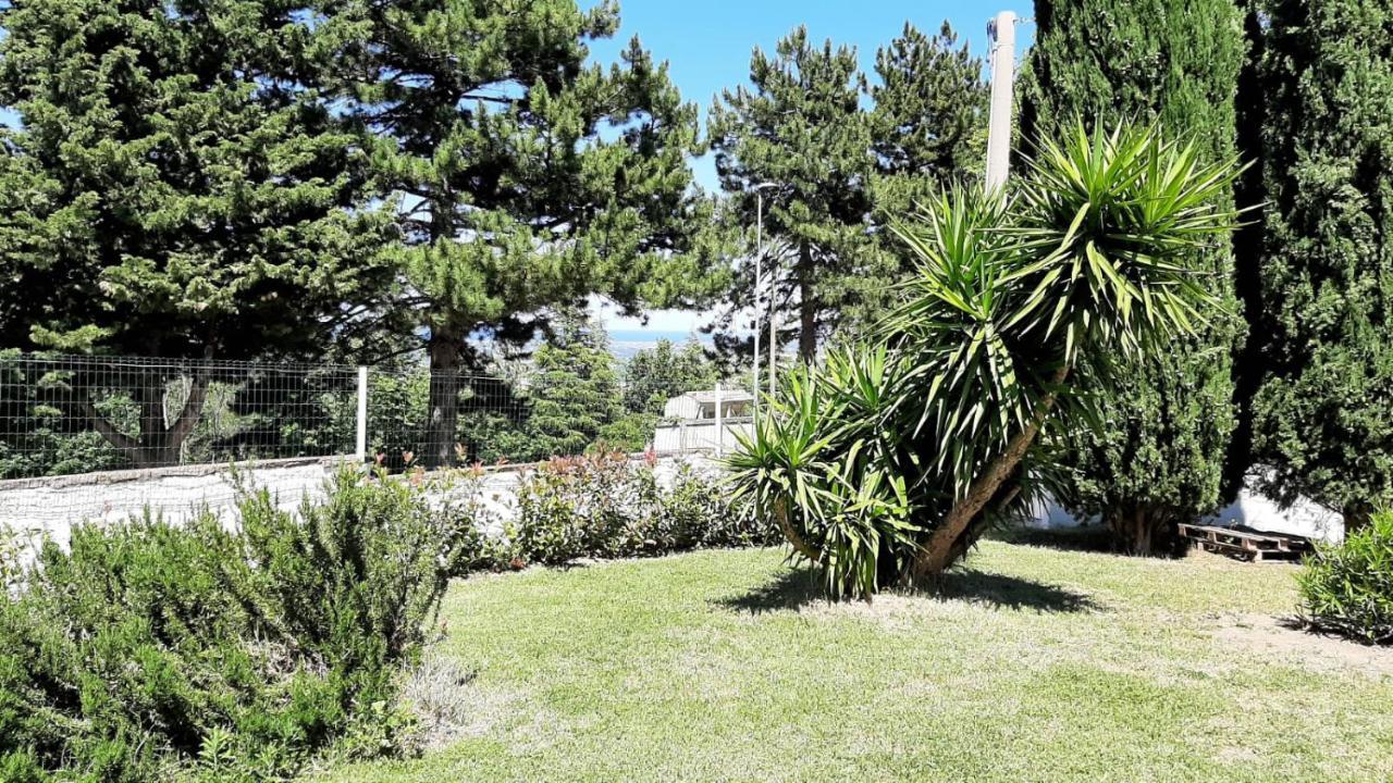 Bed and Breakfast "Cara Pace" In Collina Per Famiglie Montefiore Conca Экстерьер фото
